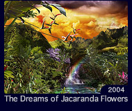 The Dreams of Jacaranda Flowers