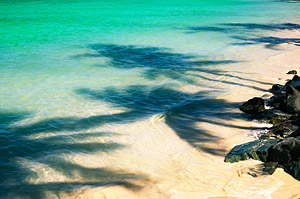 Hawaii Sea