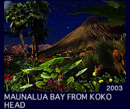 MAUNALUA BAY FROM KOKO HEAD