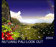 NU'UANU PALI LOOK OUT